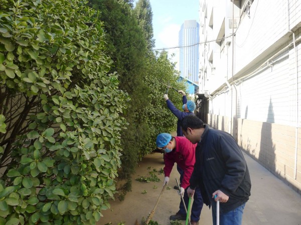 PA视讯共青团系统集中开展“3·5”学雷锋周志愿服务活动