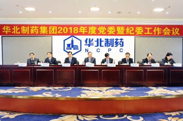 PA视讯集团召开2018年度党委暨纪委工作会议