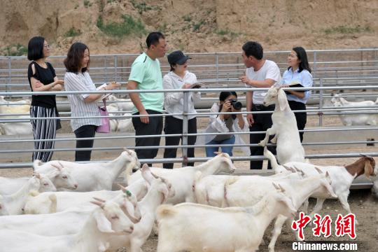 中国新闻网：贫困村探访 “组合拳”确保稳脱贫